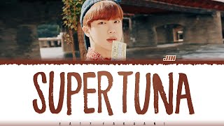JIN - SUPER TUNA (슈퍼 참치) Lyrics Color Code