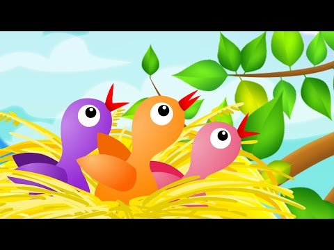 Piosenki dla Dzieci - Kukułeczka + tekst - karaoke