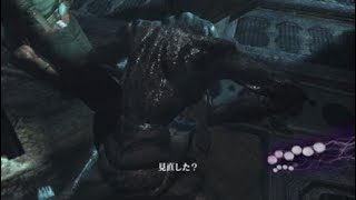バイオハザード6 エージェントハント　ラスラパンネ　ジェイク編