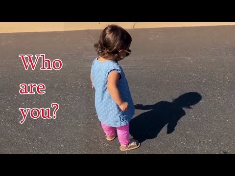 Hilarious - Babies Discovering the Concept of Shadows