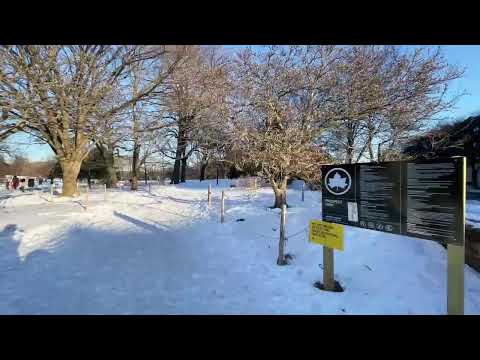 🔴 NYC Live: Prospect “Frozen” Park! 1/30/22