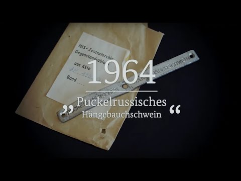 40 Dinge: 1964 - "Puckelrussisches Hängebauchschwein"