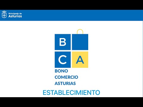 Formación del Programa Bono Comercio Asturias