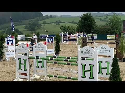 Kannanbelle 9 y/o mare by Kannan X Andiamo placed up to 140