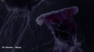 Oh Wonder - Waste [slowed]