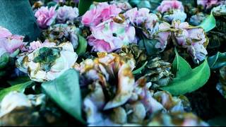OctoSide - Flowers