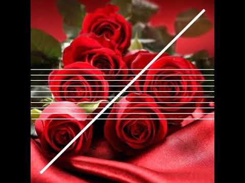 Happy birthday to you jannat zubair