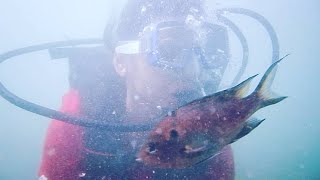 Scuba Diving at Malvan, Tarkarli | Malvan water sports | #scuba #yt #tarkarli #malvan