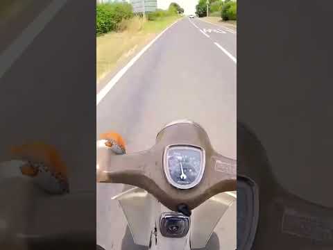 TOP SPEED RUN - Honda C90 #shorts