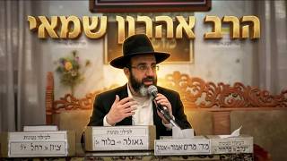 הרב אהרון שמאי מחלל שבת בפרהסיה: האם הוא נחשב כגוי?