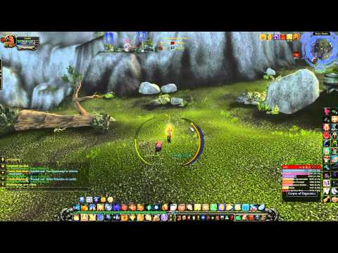 World of Warcraft Cataclysm lvl 85 Retribution Paladin Pvp