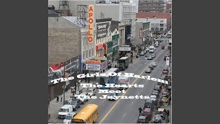 Music video thumbnail preview for Sally Go Round The Roses (Instrumental) by The Jaynetts