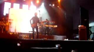 kinky chihuahua .mirando de lado