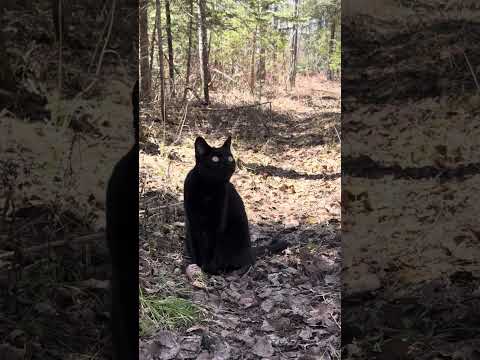 Raphaelle and Ashira on a relaxing walk