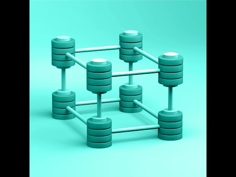 video image
