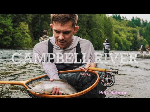 BC SALMON FISHING || Quick Limits on Campbell River