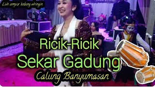 Download lagu Calung banyumasan||full bass||Ricik-Ricik_Sekar gadung New arista musik#calungbanyumasan  mp3