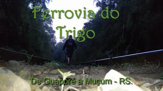 preview picture of video 'Ferrovia do Trigo - Travessia de Guaporé a Muçum - RS'