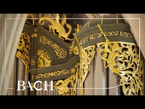 Bach - Partite diverse sopra: Sei gegrüsset BWV 768 - Van Doeselaar | Netherlands Bach Society