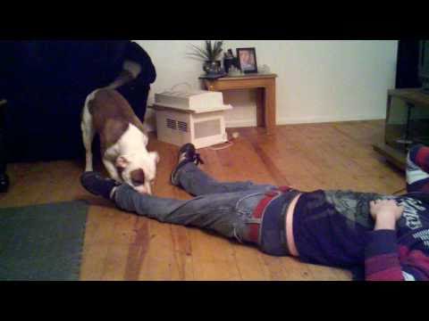 Blaze wants mikes pants