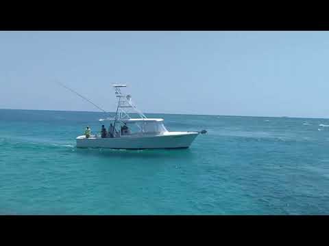 Miami Live Video #576