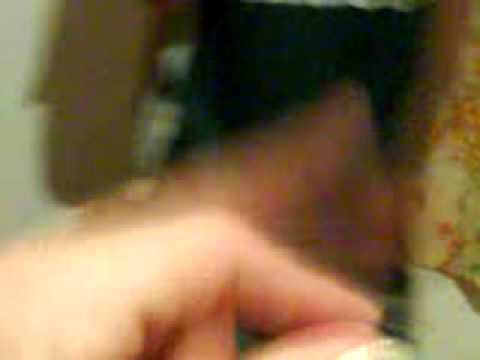 A DUPLA DO MOMENTO NANDO E LÉO