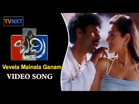 Vevela Mainala Ganam Full Video Song || Badri Video Songs ll Pawan Kalyan, Renudesai || TVNXT