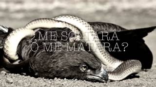 The bird And the snake - Wolves At The Gate (Sub español)