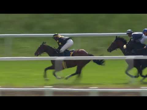 2022.06.12 Stockholms Stora Pris (SWE) - King David