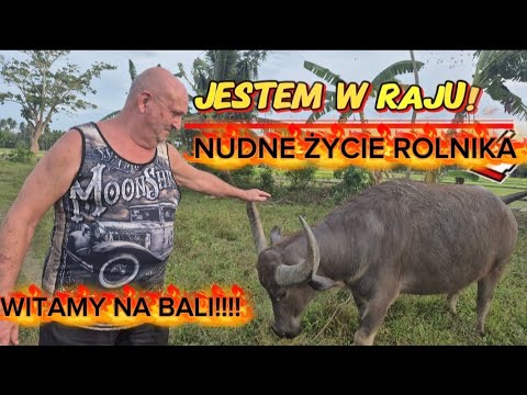 ZAPRASZAMY NA SPACER W NASZEJ  PROWINCJI.CZY MOGLI BYSCIE TAK ZYC.