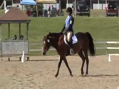 Maddy & Luke - Training Level Test 4