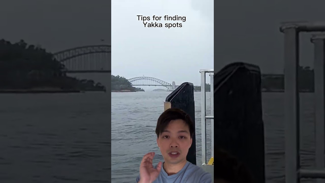 How to find Yakka spots #shorts