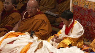 Introduction of Kyabje Bokar Rinpoche's Yangsi - 正式介紹波卡仁波切轉世祖古