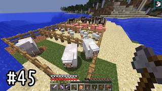 【Minecraft】Ender IOと生きる #45【ゆっくり実況】