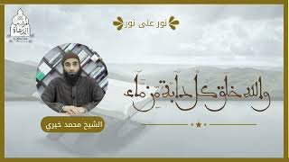 صورة واللهُ خَلقَ كُلَ دابةٍ مِن ماء ||  الشيخ محمد خيري سلسلة نور على نور تدبر سورة النور