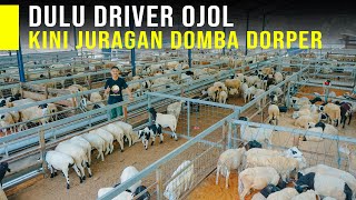 Download lagu Peternak Muda 23 Tahun Sukses Ternak Breeding Domba Dorper Terbesar di Jawa mp3