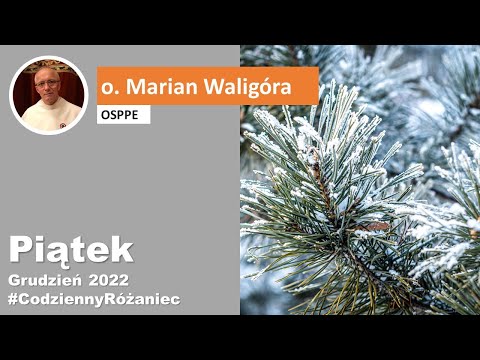 piątek, 23 grudnia 2022