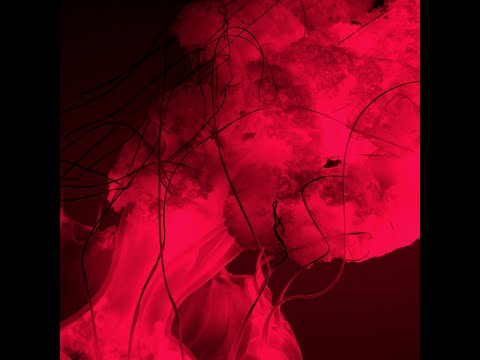 MNMT Premiere : CTAFAD - Dissociate (Tommaso Nudo Remix)