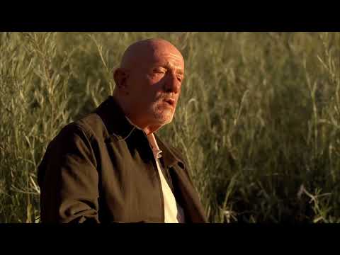 waltuh, put your d away waltuh