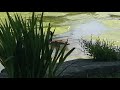 The Song Of The Canada Goose