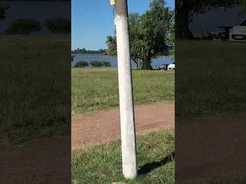 ¿Conocías este paraíso en Salto? #Turismo     #paisajesextremos #automobile #PuebloBelén#Uruguay