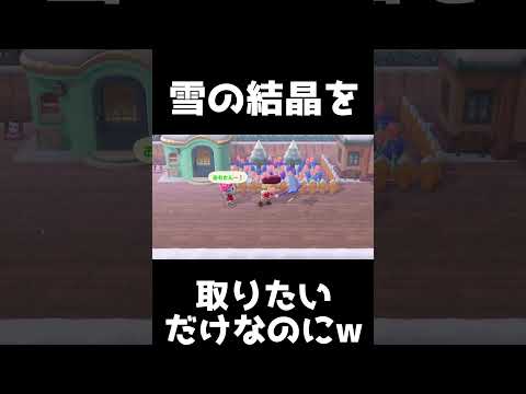 Leucojum バーナム