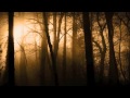 Звук лесной чащи в фильме ужасов, музыка для завершения действия, Sound forest ...
