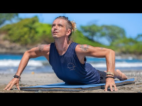 Beautiful Beginner Yoga  Hatha Class For Everyone Tofino