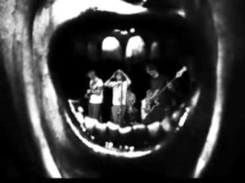 Swallowed Whole - The Growlers