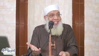 10 تفسير سورة الأنبياء (10) من قول الله تعالى (فرجعوا إلى أنفسهم) الآيات 64-71 image