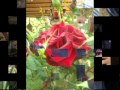 день рождения внучки 