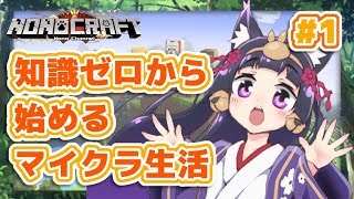 【#ノノクラ 1】知識ゼロから始めるマイクラ生活！～Minecraft実況～　2019/1/8
