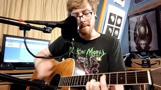 Enter Shikari - Adieu (Acoustic Cover)