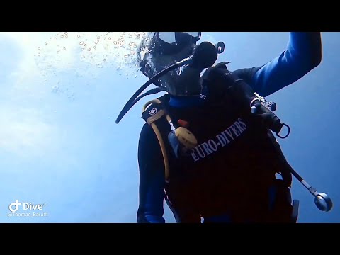 Utopia Beach Club --- Northreef by zodiac with Waldemar ---